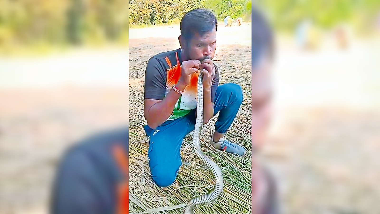 ‘Wildlife rescuer’ gives CPR to resuscitate snake that suffered electric shock in Gujarat’s Valsad