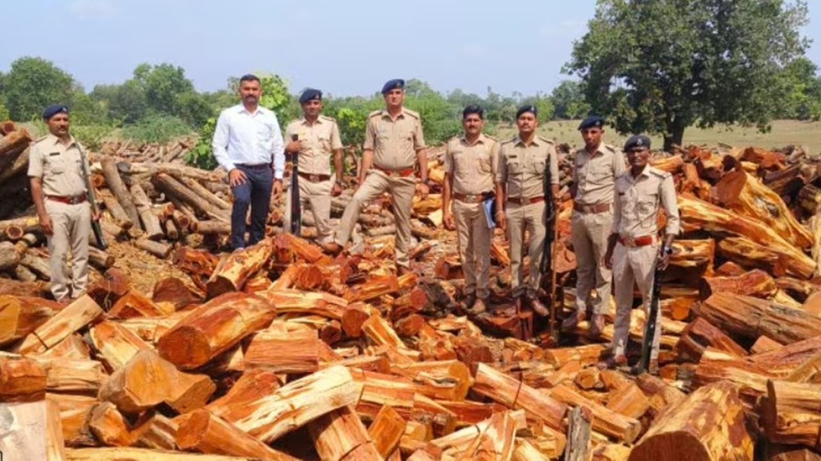 Probe on into ‘nexus’: Days after Khair wood logs ‘smuggled’ from Gujarat seized in Maharashtra, Navsari RFO & forester suspended for ‘negligence’