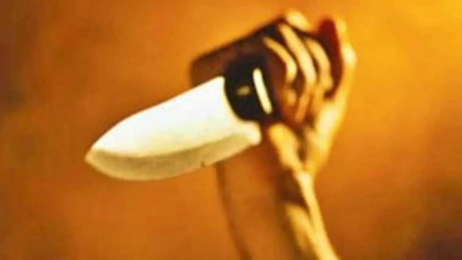 Minor cousin stabs 27-year-old law student to death in South Delhi, held
