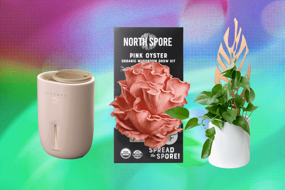 The 17 Best Gifts for Plant Lovers We’d Buy Ourselves (2025)